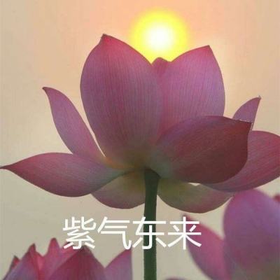 乐社区下载安装2024